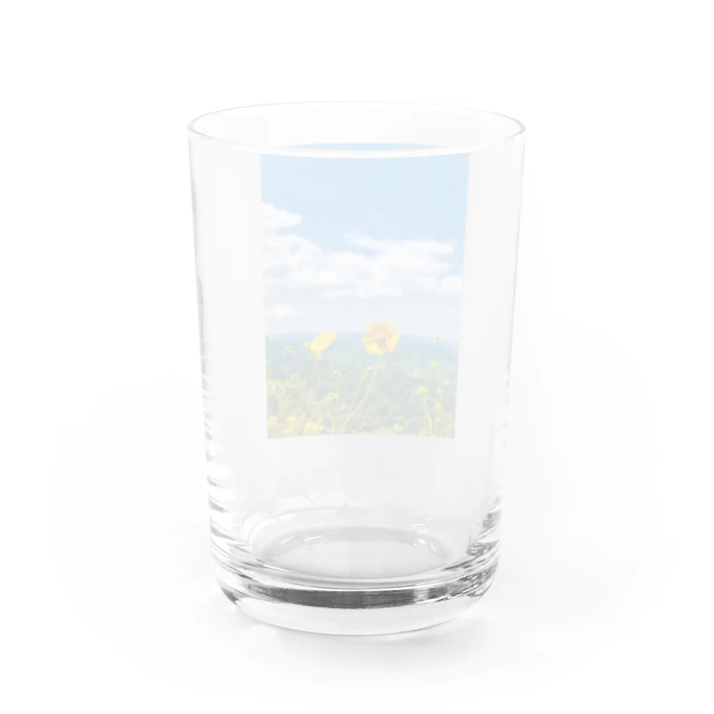 ジャスミンティーのMountainflower Water Glass :back