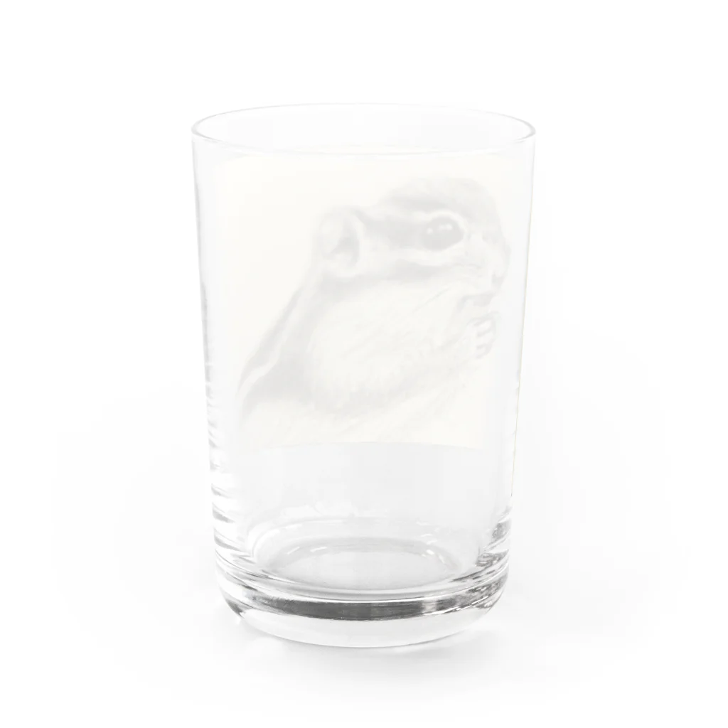 もちょのシマリス描いてみた Water Glass :back