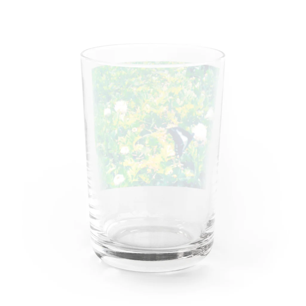 ラズリのトイカメラの青い蝶々とシロツメクサ Water Glass :back