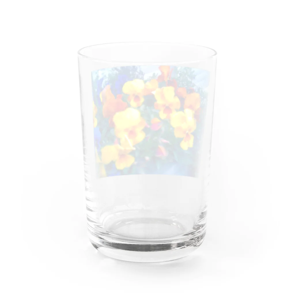 ラズリのトイカメラの発光パンジー Water Glass :back