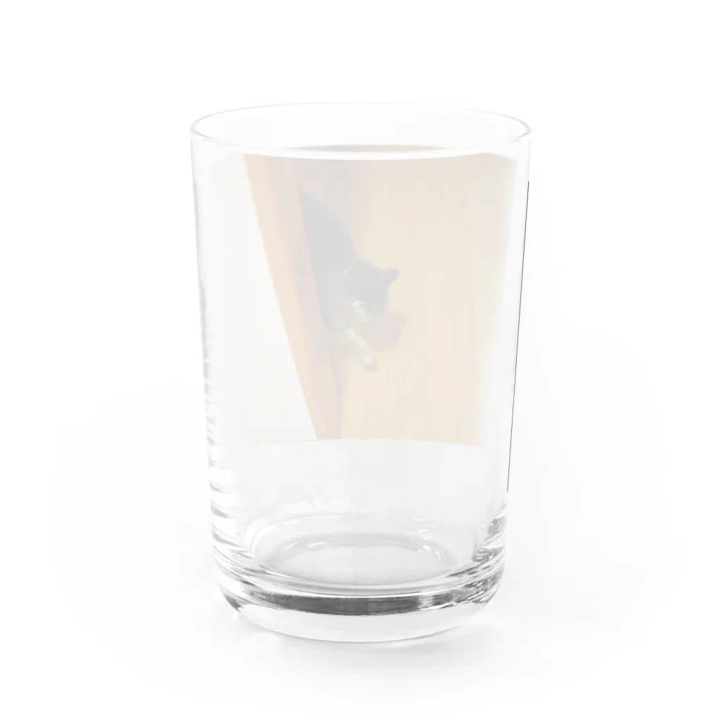 guu.のアポ６ Water Glass :back