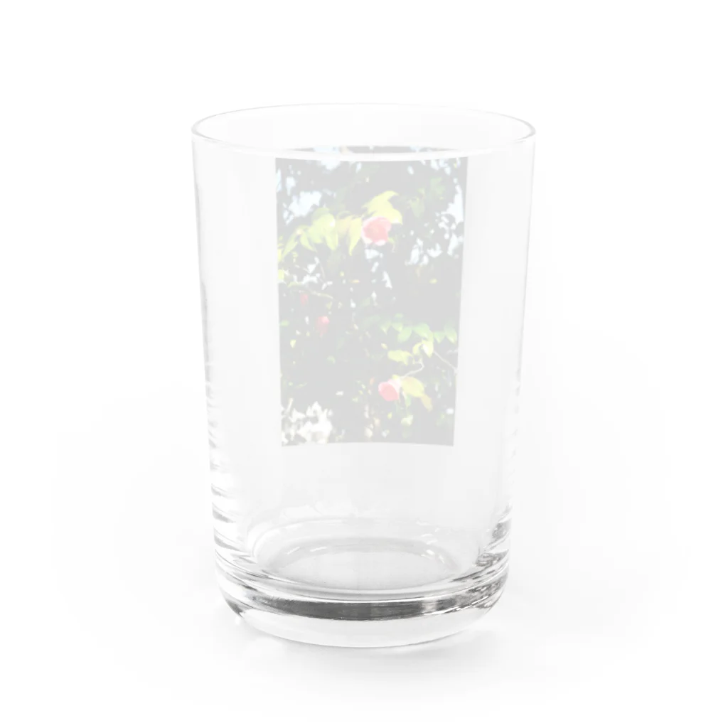 RDS_Rayon_de_soleilの支 Water Glass :back