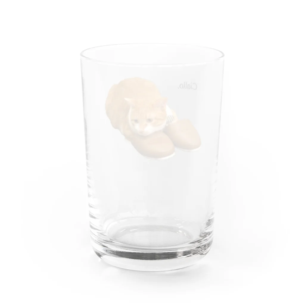 猫カフェ ぶぅたんグッズショップのチャロッパ Water Glass :back