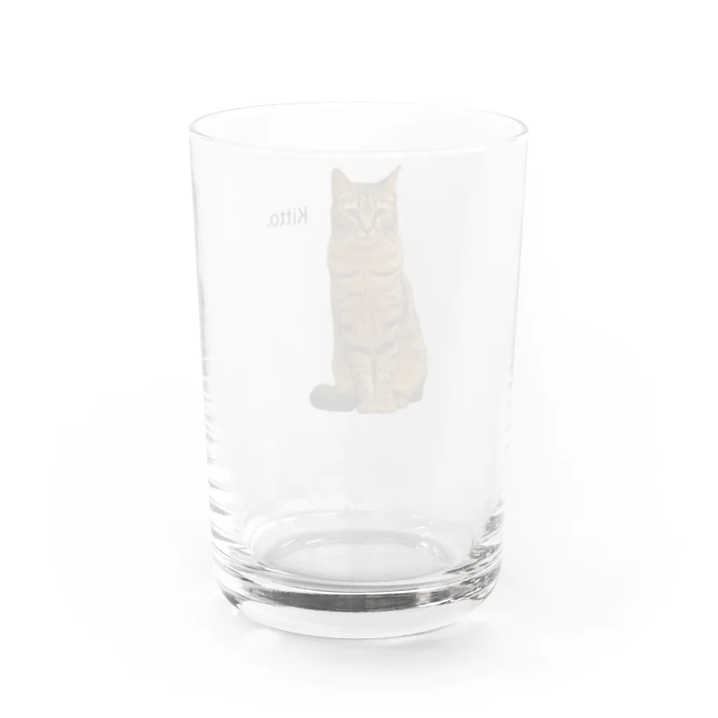 猫カフェ ぶぅたんグッズショップのおすましキトくん グラス反対面