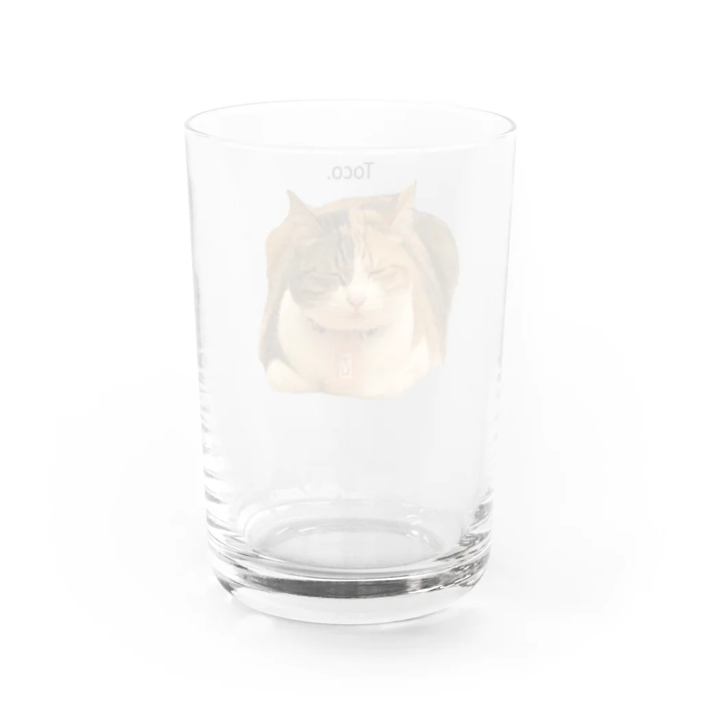 猫カフェ ぶぅたんグッズショップの仏のような寝顔のトコちゃん Water Glass :back