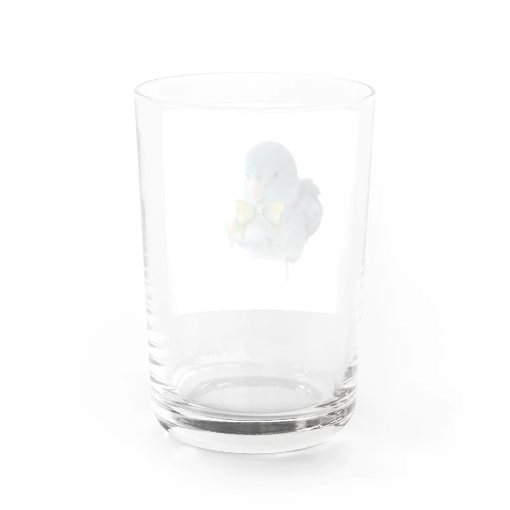 がおーマメちゃんのお散歩マメ Water Glass :back