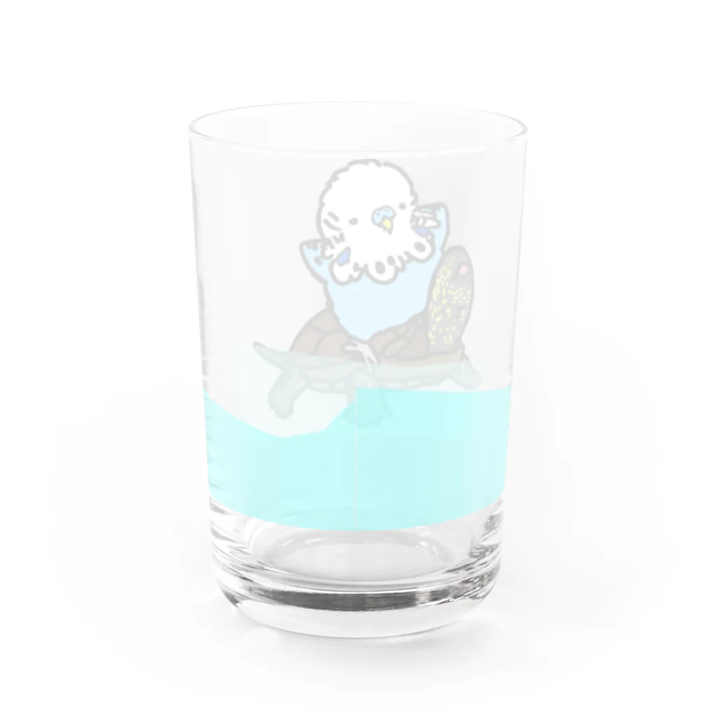 ひかるのジャンボセキセイインコとクサガメ(水あり) Water Glass :back