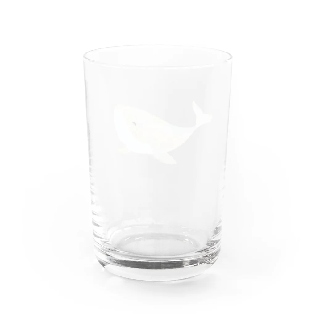 マエダレナ / イラストレーターのAM.5:00のクジラ　グラス Water Glass :back