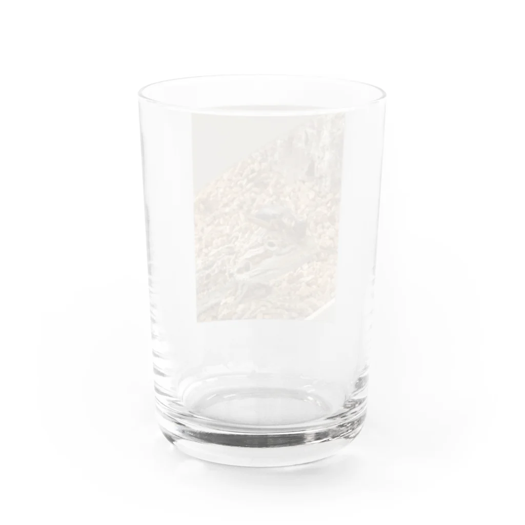 TENTENのFRIENDS Water Glass :back