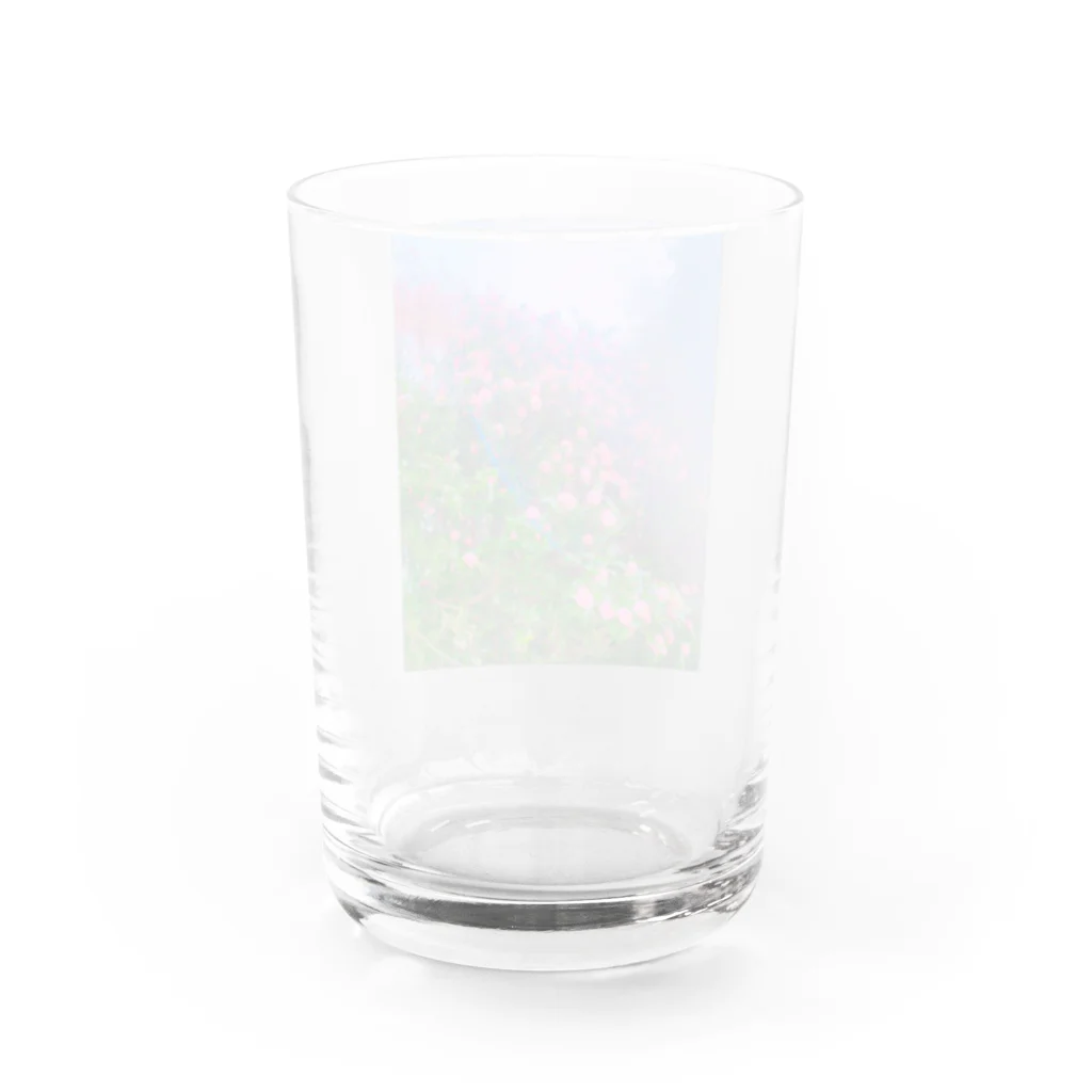 NEON LIGHT STARSのさくらんぼの風 Water Glass :back