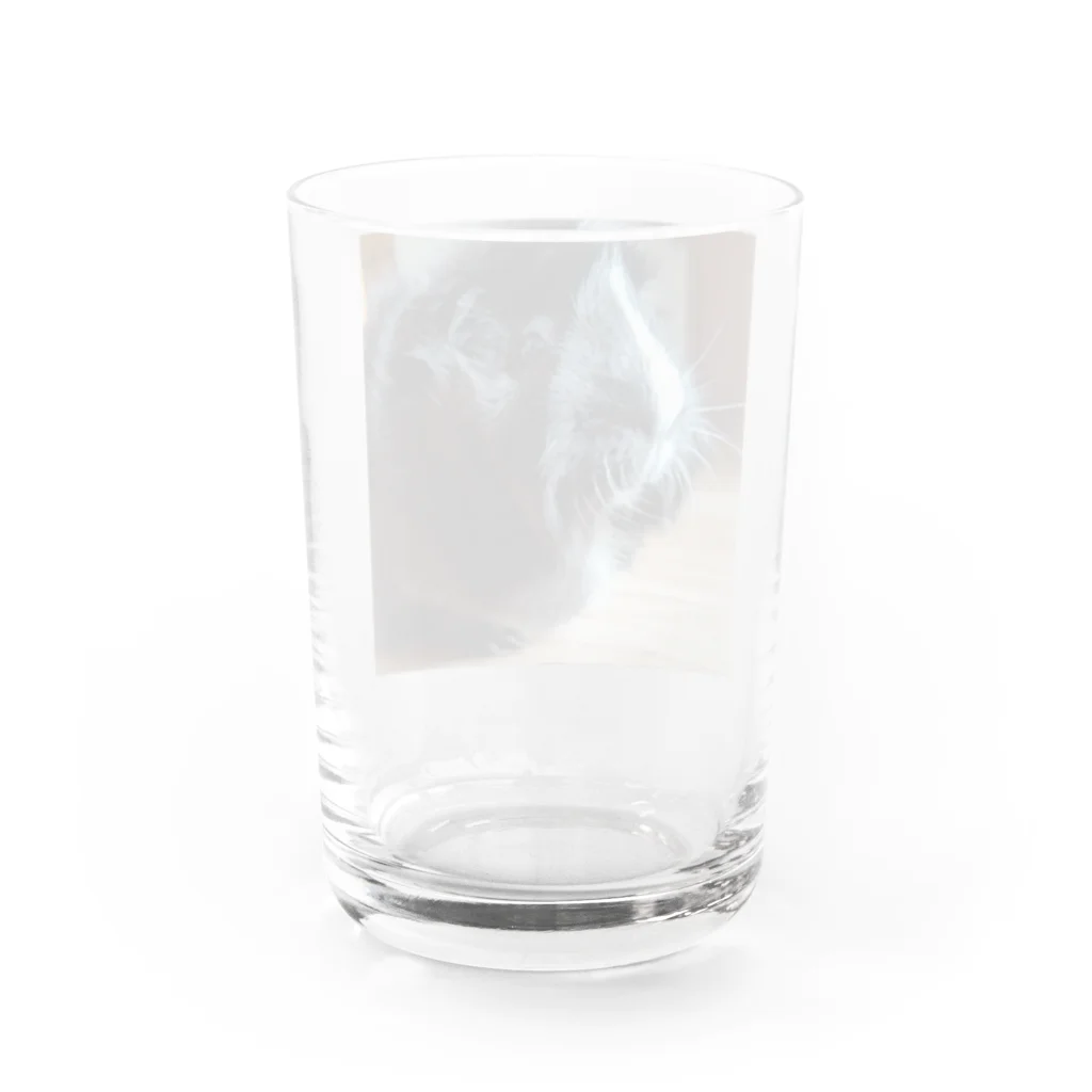 しま　とらきちのこゆたん Water Glass :back