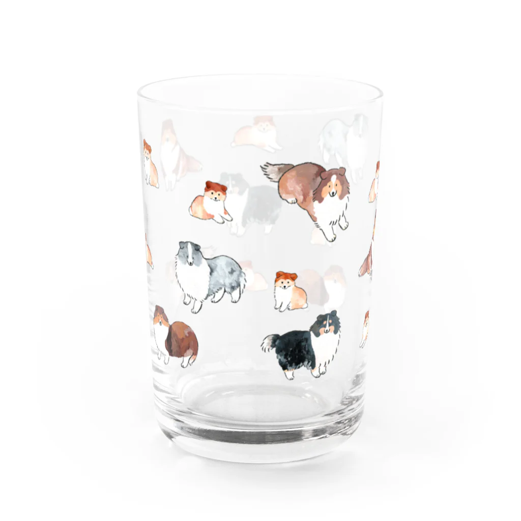 ずっこ（zucco.)のシェルティ大集合 Water Glass :back