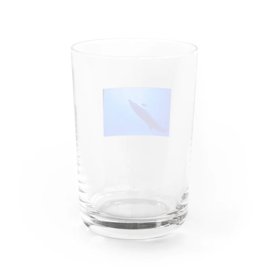 じりきちゃんの家の気持ちよく泳ぐイルカ Water Glass :back