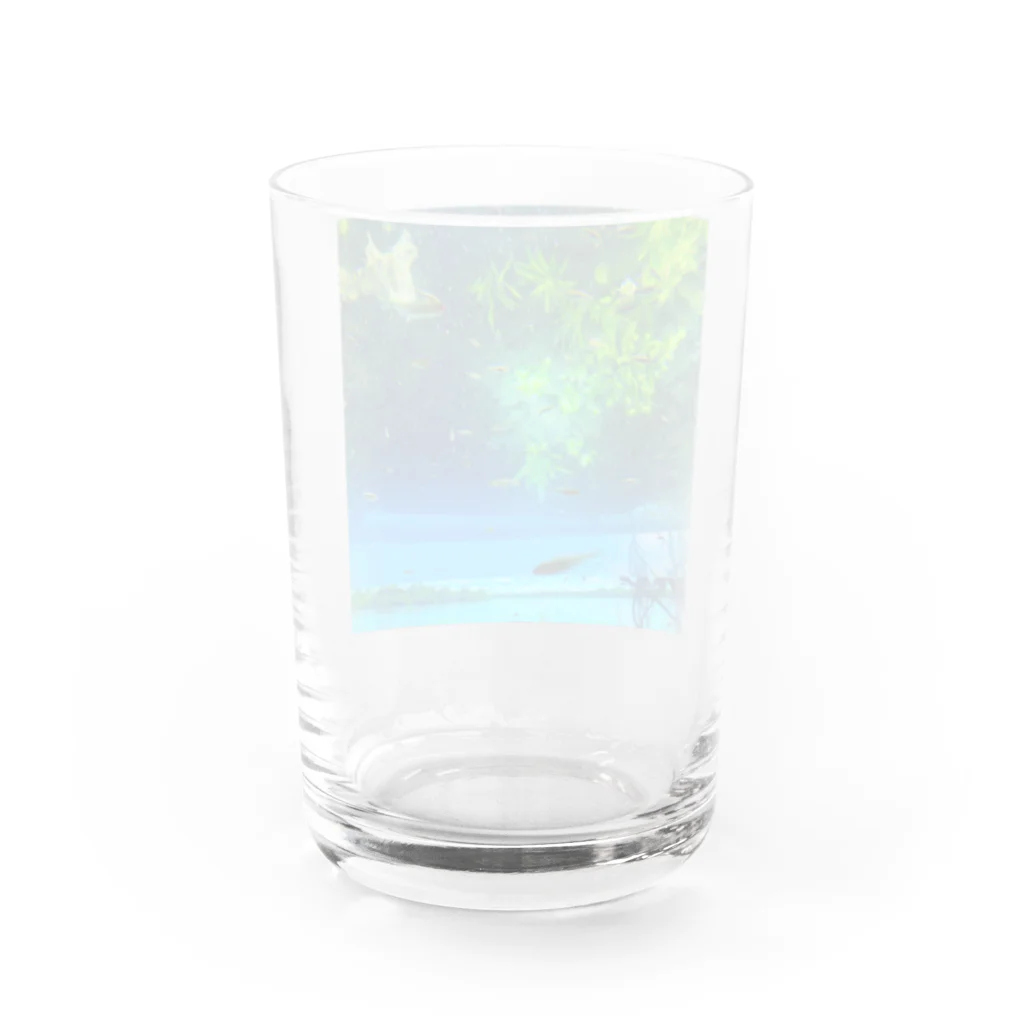 角笛とハレー彗星の魚と同じ目線になる Water Glass :back