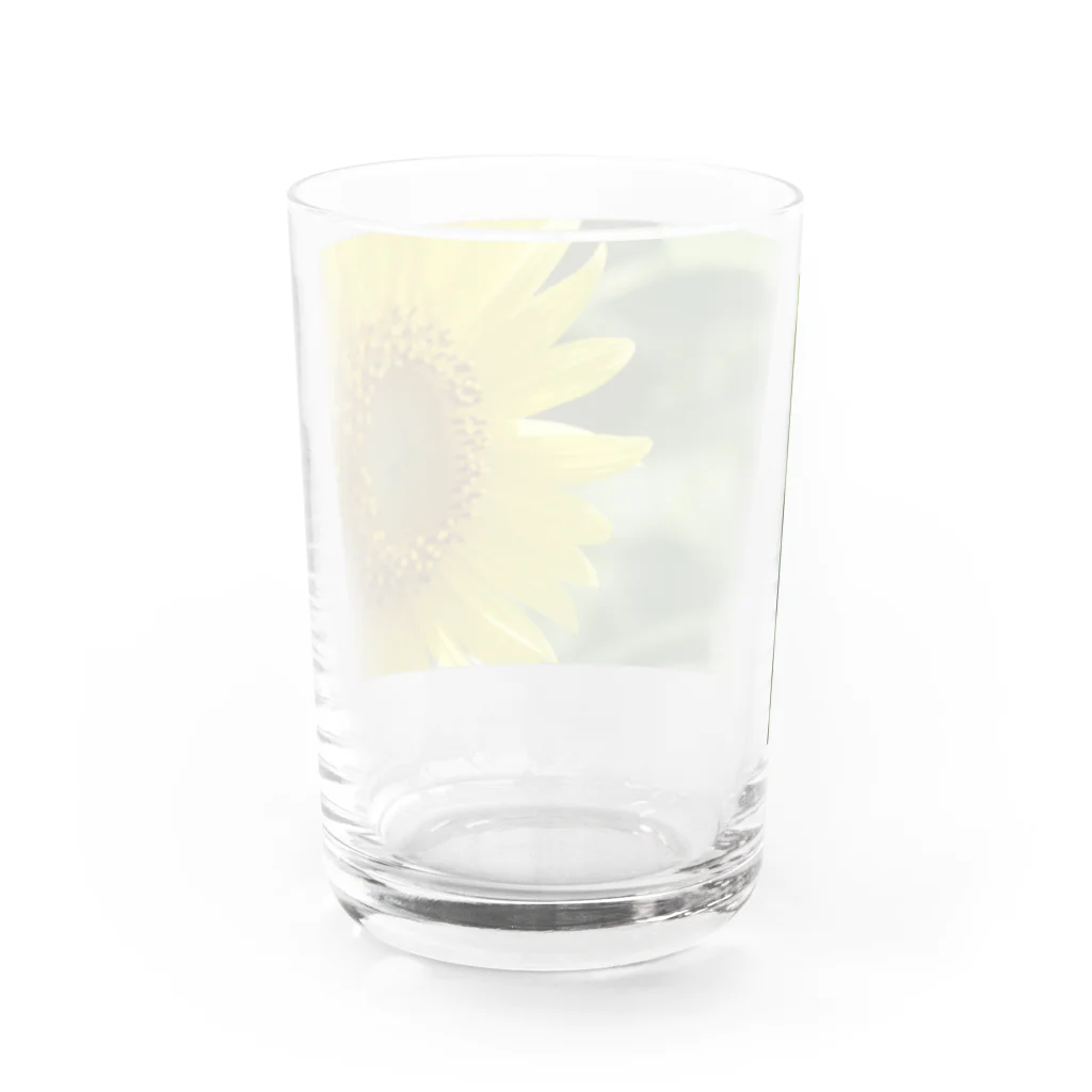 ponzuのひまわりサマー！ Water Glass :back