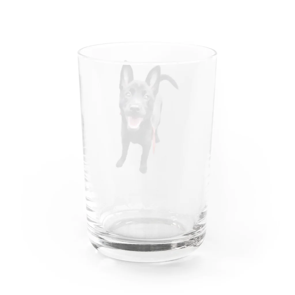 saaaikaの釣り ぽんらい Water Glass :back