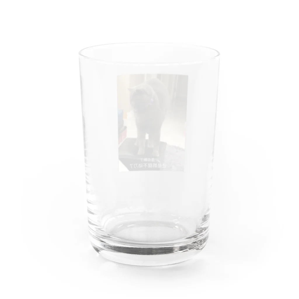 阿鹅说谢谢你の是你飘了 还是鹅提不动刀了 Water Glass :back