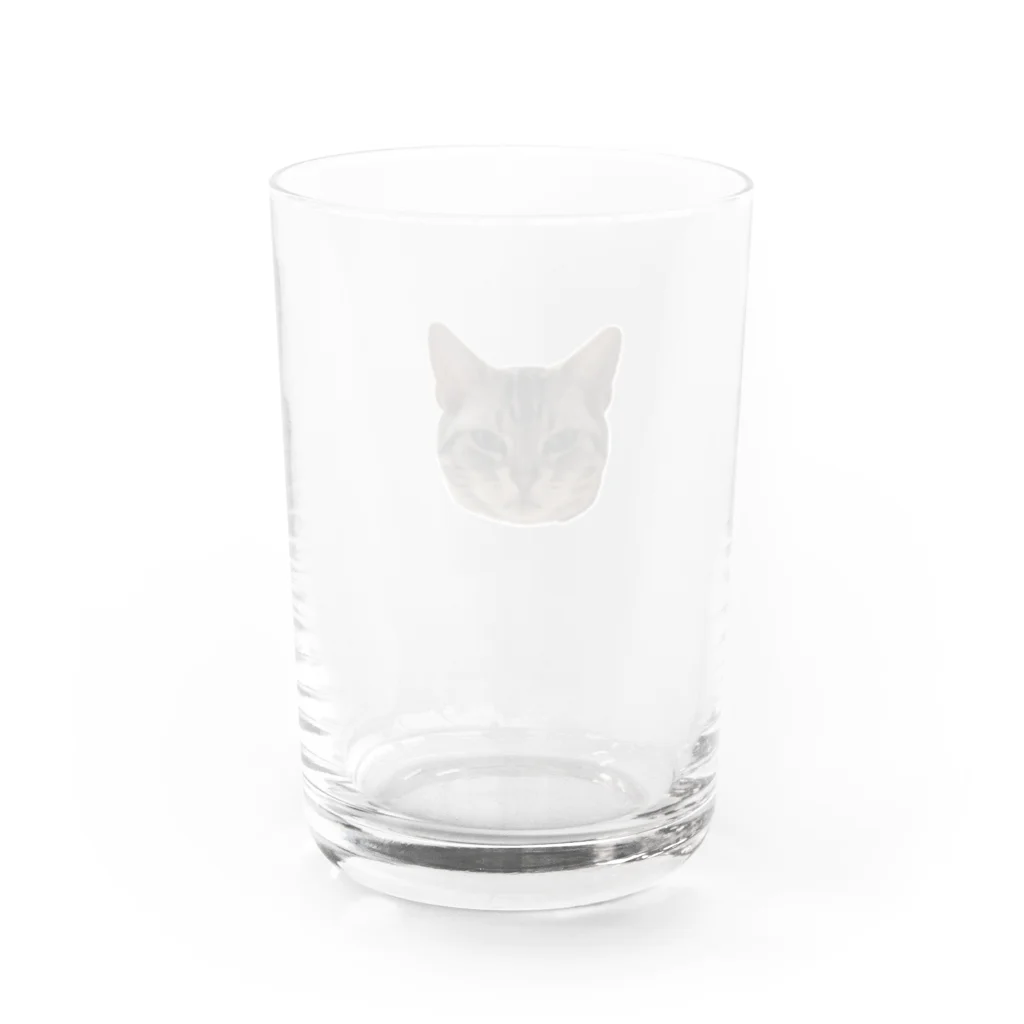 むぎだいごろうのかわいいむぎちゃんむぎむぎ Water Glass :back