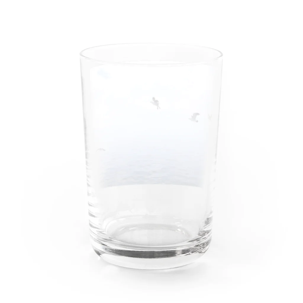 Tzelem Tzalamの石巻のうみねこ Water Glass :back