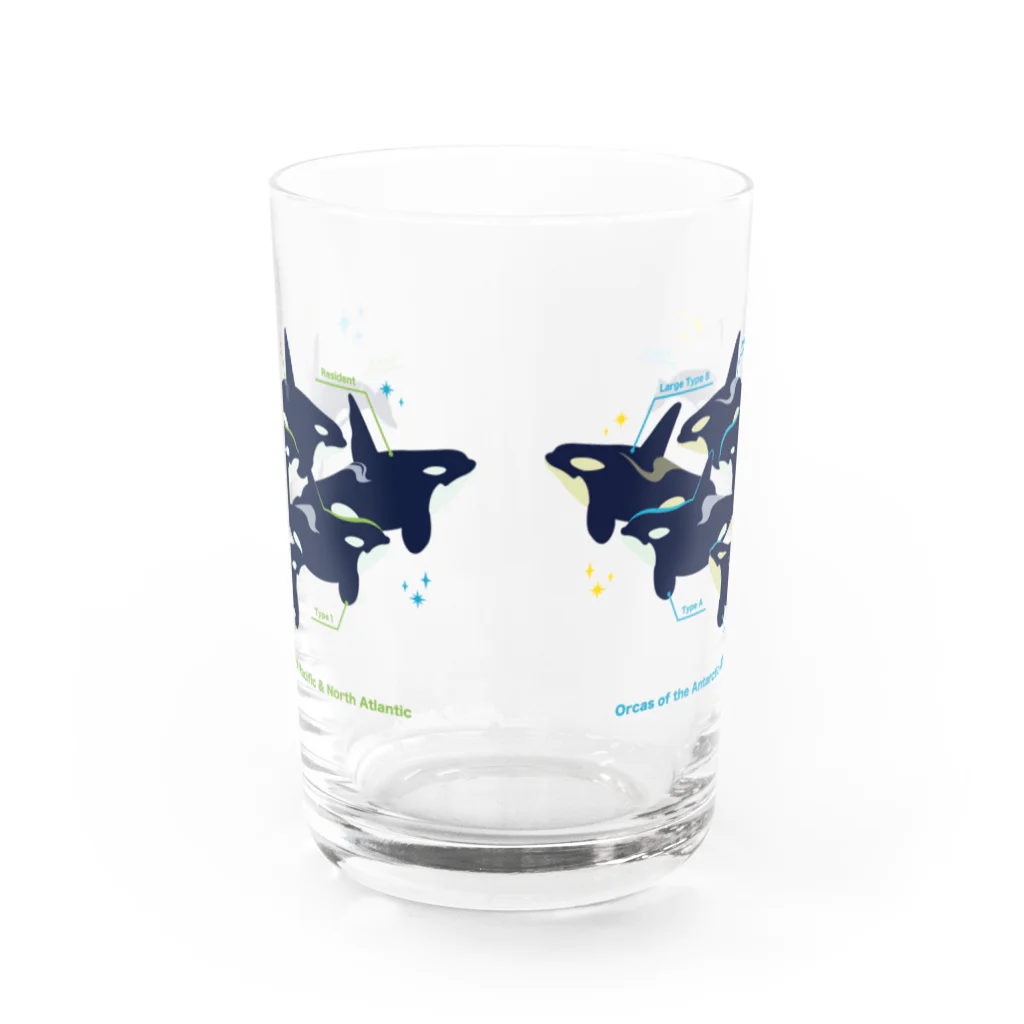 みなとまち層のType:Orcasマグカップ Water Glass :back