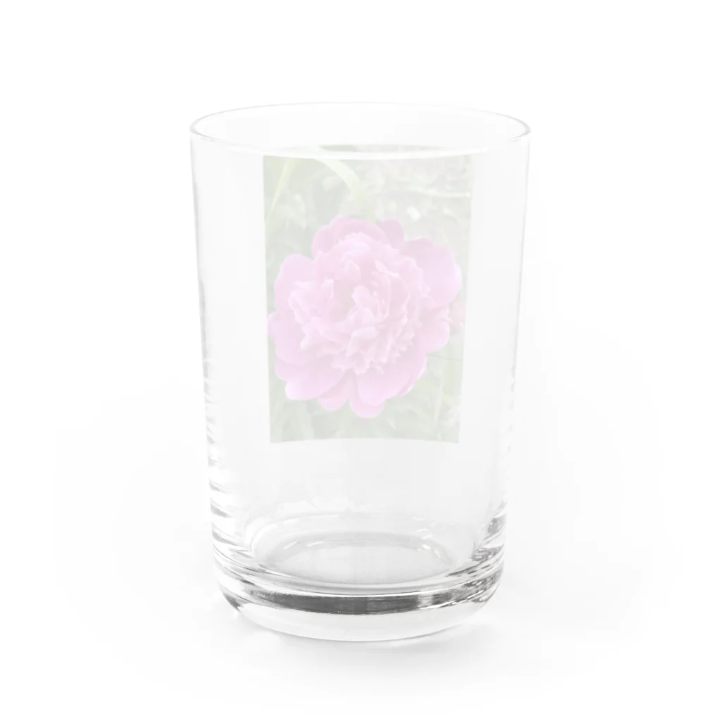 kerokoro雑貨店の華　芍薬(しゃくやく) ピンク Water Glass :back