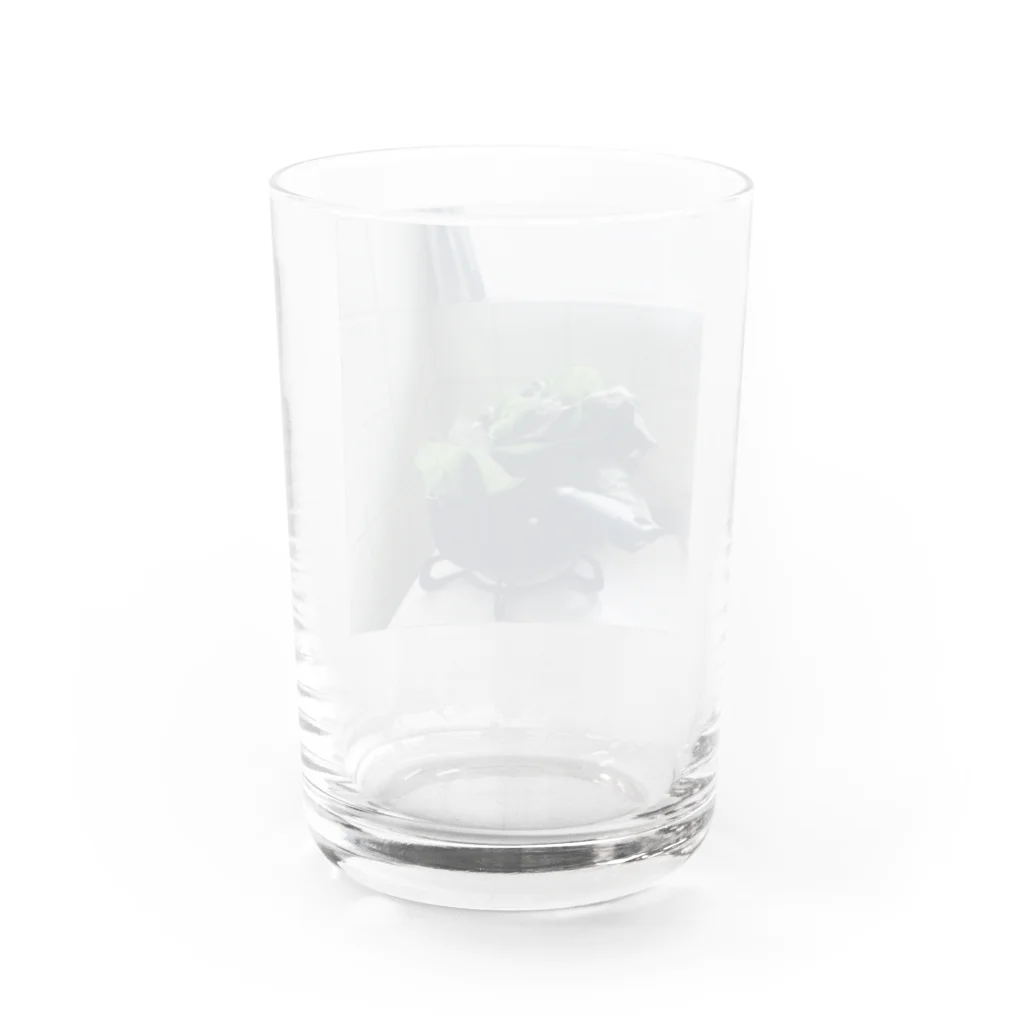 朝霧の朝霧 Water Glass :back