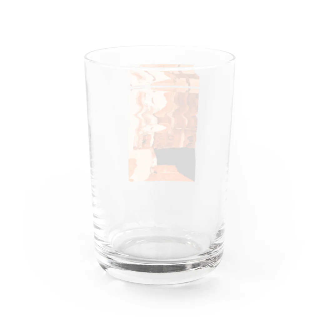 ANTICONSTITUTIONNELLEMENTのぐらんどきゃにおん Water Glass :back