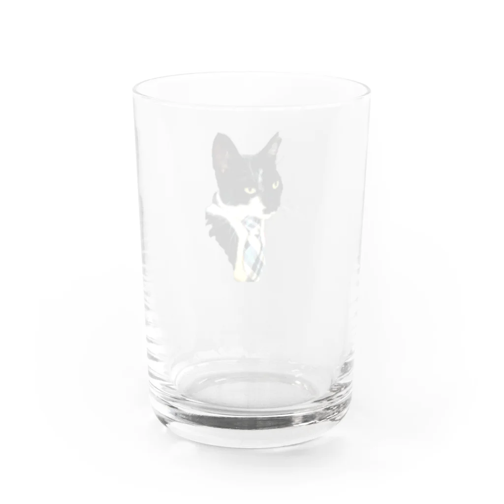 フミノコsuzuri祭のはたらく黒白猫 グラス反対面