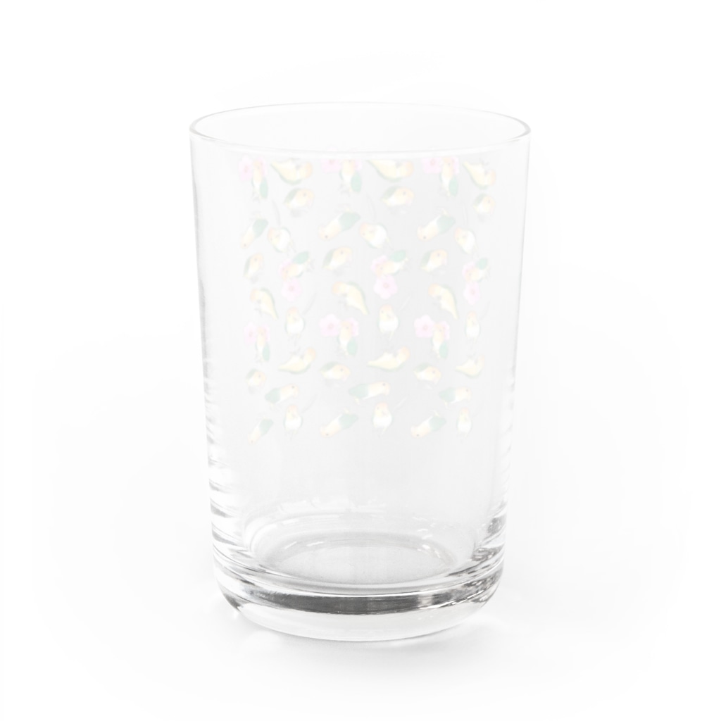 まめるりはことりのたっぷりシロハラインコちゃん【まめるりはことり】 Water Glass :back