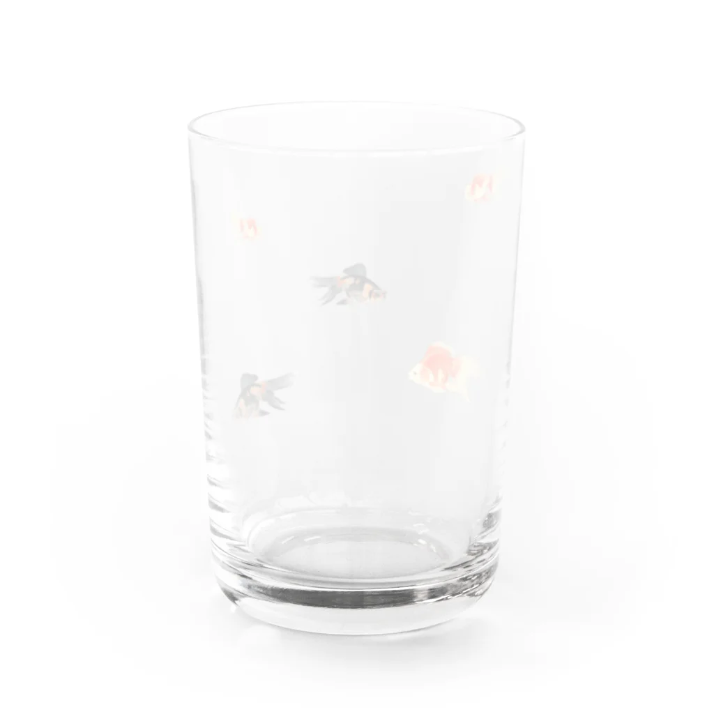 海賊猫 cocoの『夏祭り』 夏 琉金 金魚 金魚すくい 浮世絵 Water Glass :back