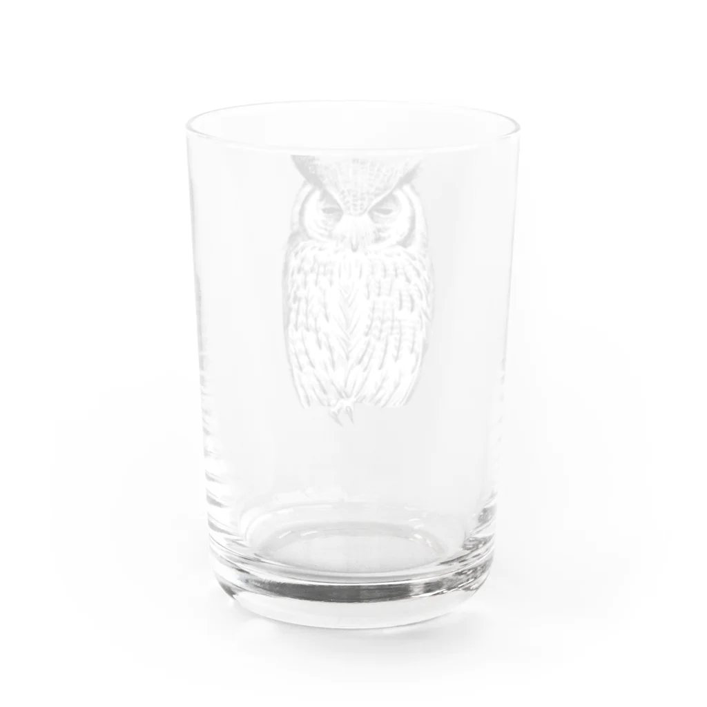 segasworksのねむいアフリカオオコノハズク Water Glass :back