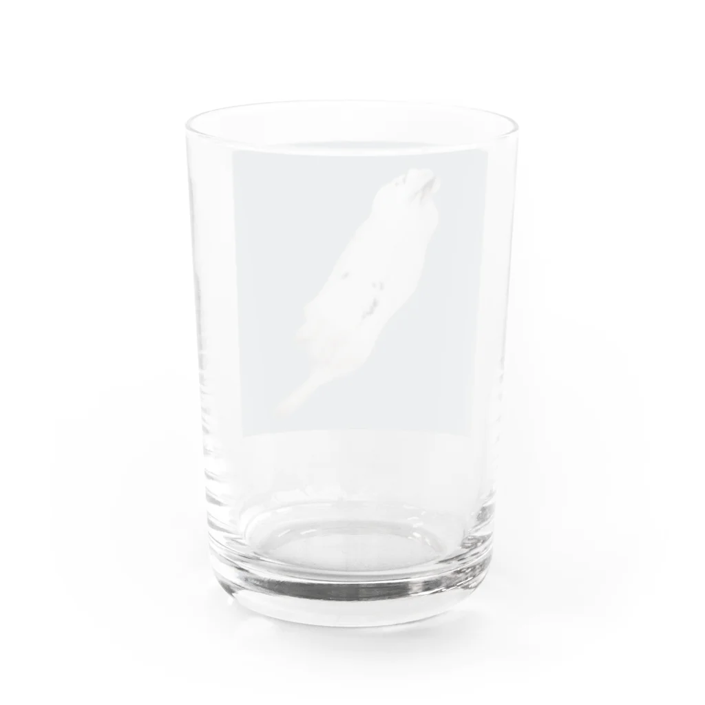 あんにんのおみせののびのびあんにん Water Glass :back