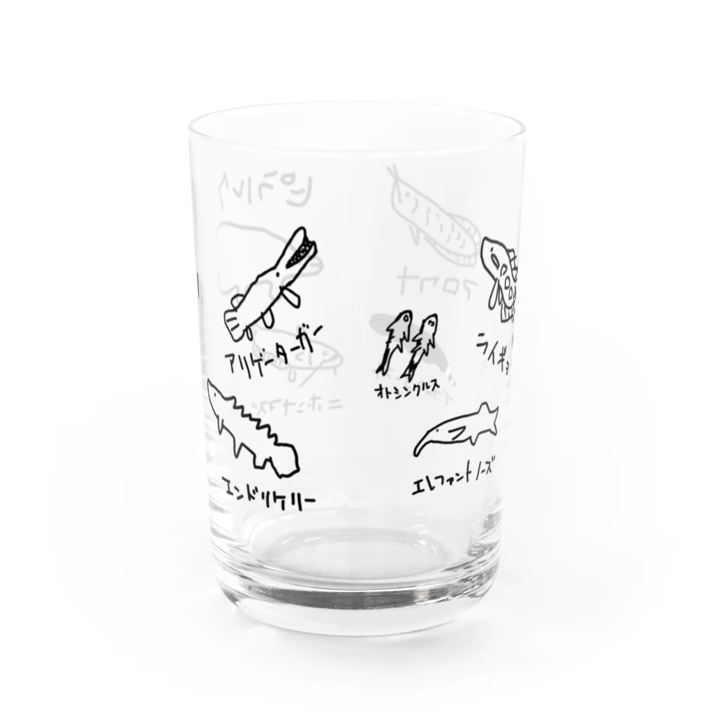 いきものや　のの（別館）の淡水魚たち　にい Water Glass :back