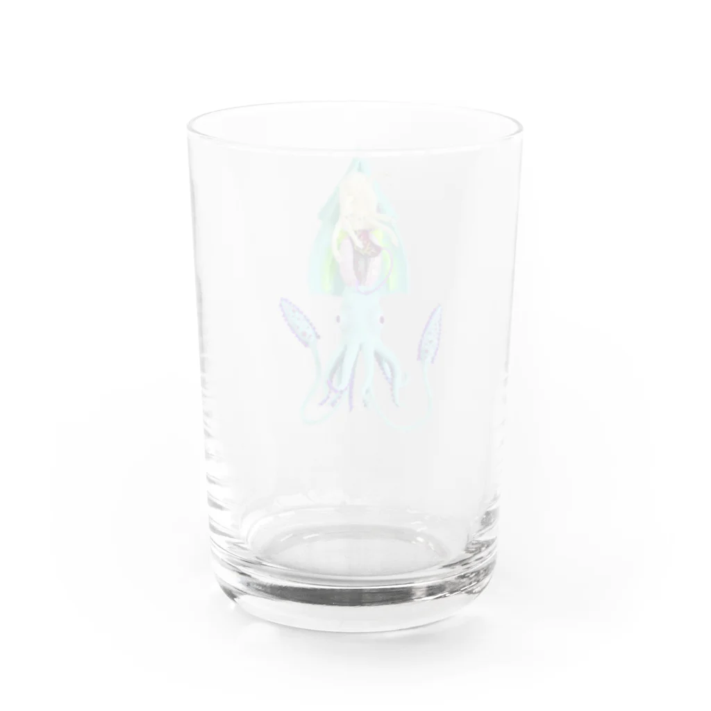 水島ひねのイカの解剖標本 Water Glass :back