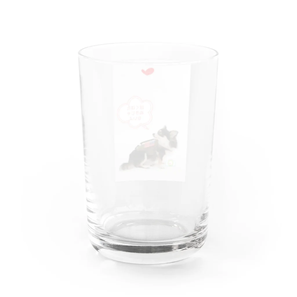 chackyuzuのぼくたぬきじゃないよ Water Glass :back