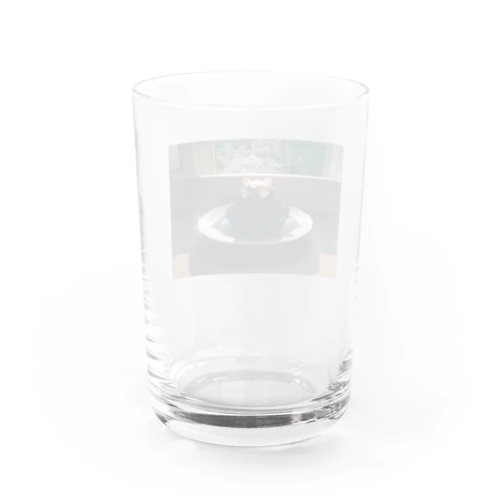 ミオミオノのたぬきのケーキ Water Glass :back