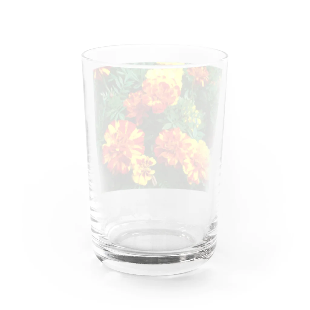 Dreamscape(LUNA)のパッと輝いて!! Water Glass :back