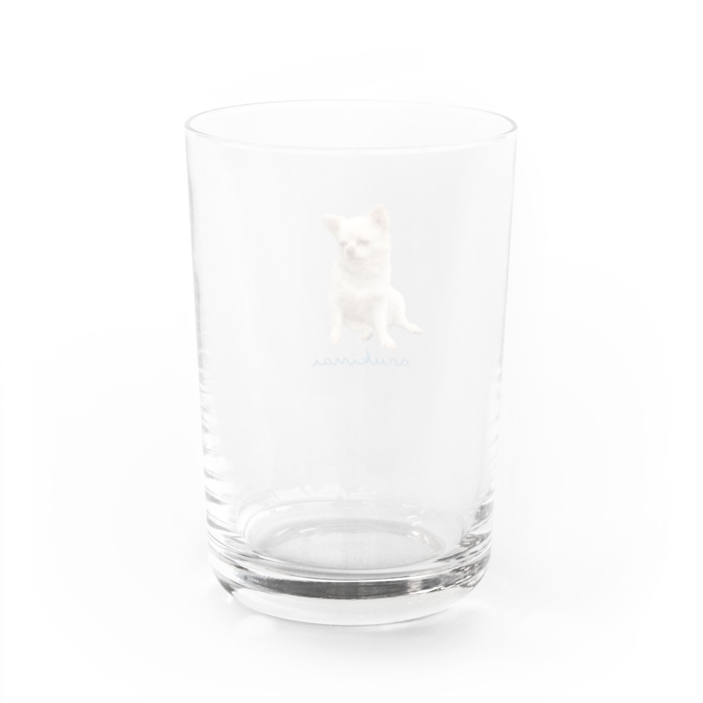 クロゴマのやる気ない愛犬 Water Glass :back
