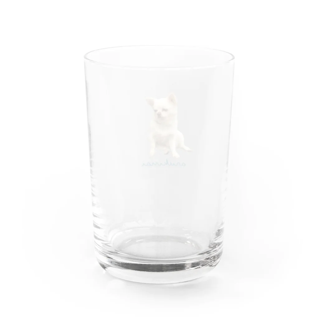 クロゴマのやる気ない愛犬 Water Glass :back