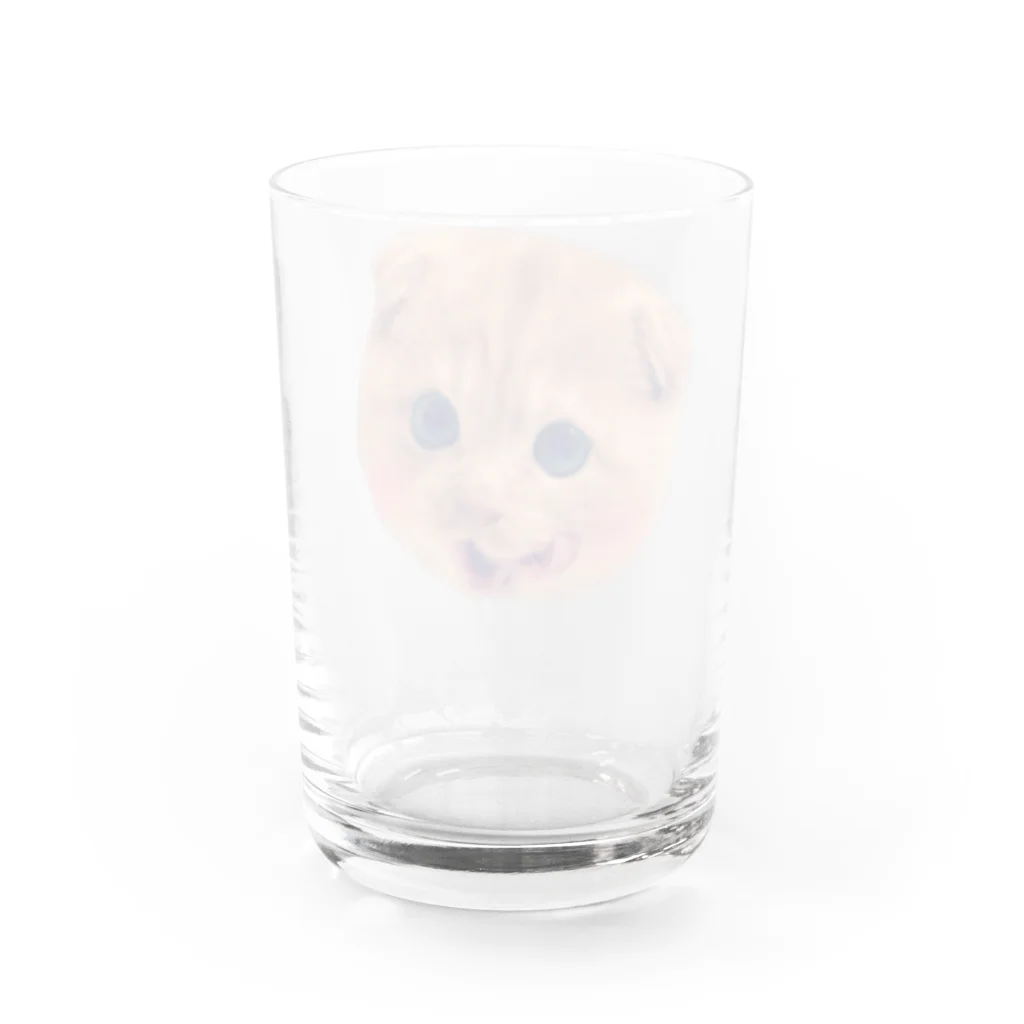 ～癒しの猫暮らし～の甘えんぼ猫ポテト Water Glass :back