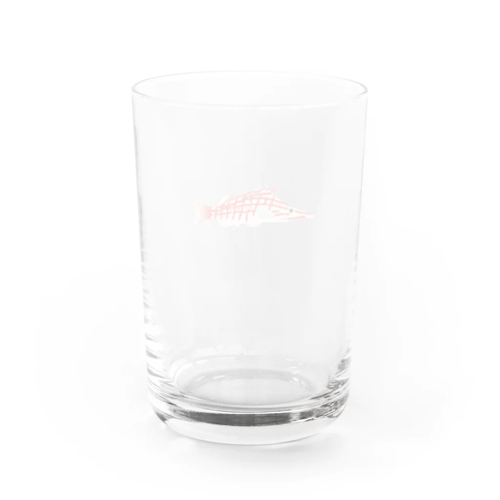 海の仲間たちオフィシャルSTOREのクダゴンベ Water Glass :back