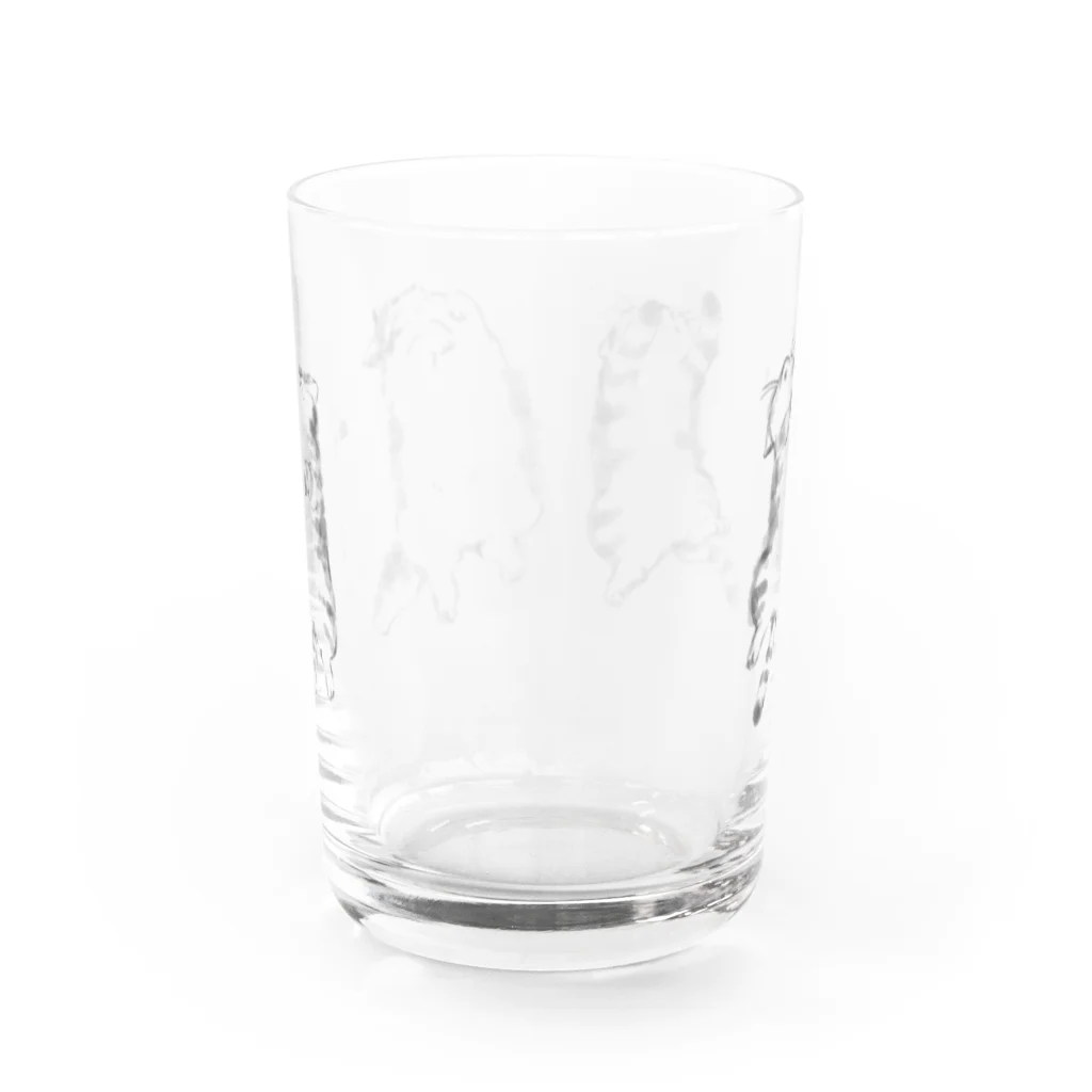 p-55のゴロ猫 Water Glass :back