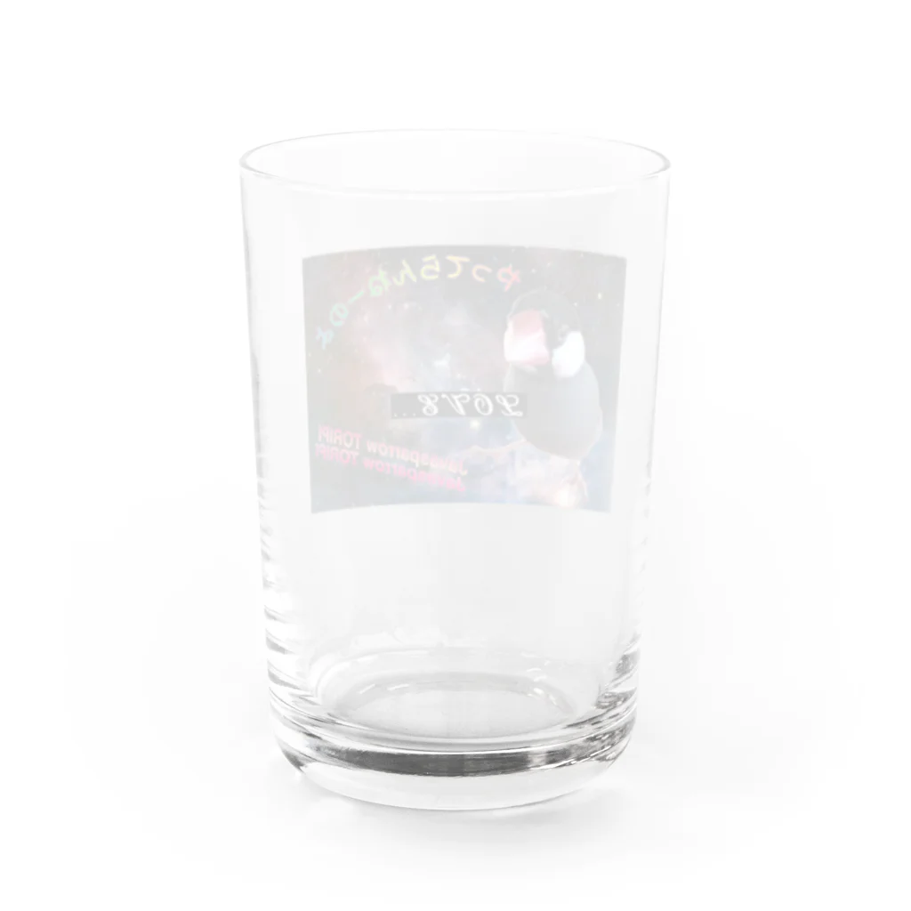 Buncho_kansaiのJavaspparow TORIPI Water Glass :back