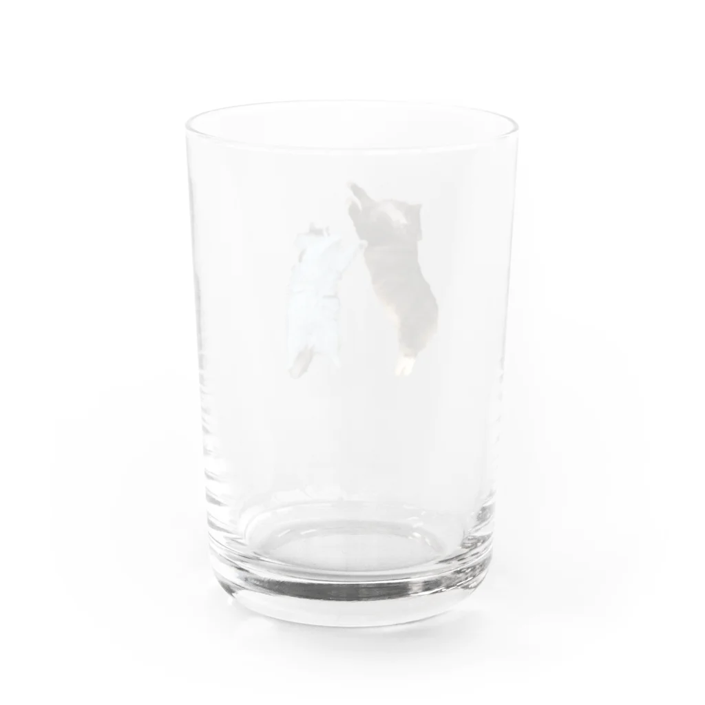 ノルウェー達の真剣勝負 Water Glass :back