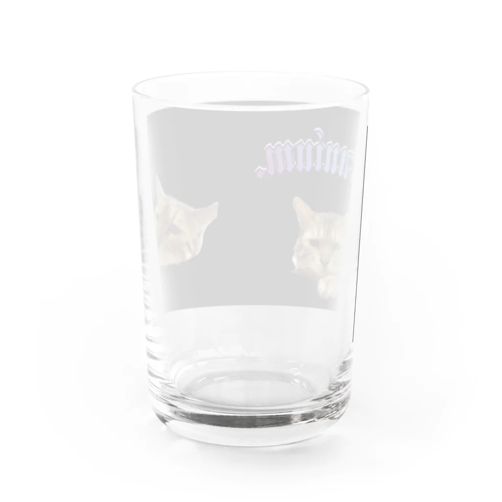 ꏸꋪꋫꁹꂑꐇꁒ𖤐《毎日ハロウィンのクラニアム》の猫のるいたまんじゅう Water Glass :back