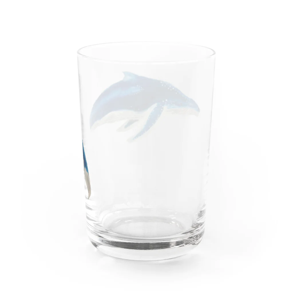 Coshi-Mild-Wildのザトウくじらだよ🐋 Water Glass :back