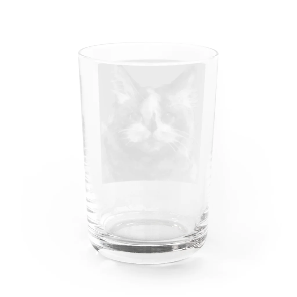 アモラボのラグドールのグラフィック Water Glass :back