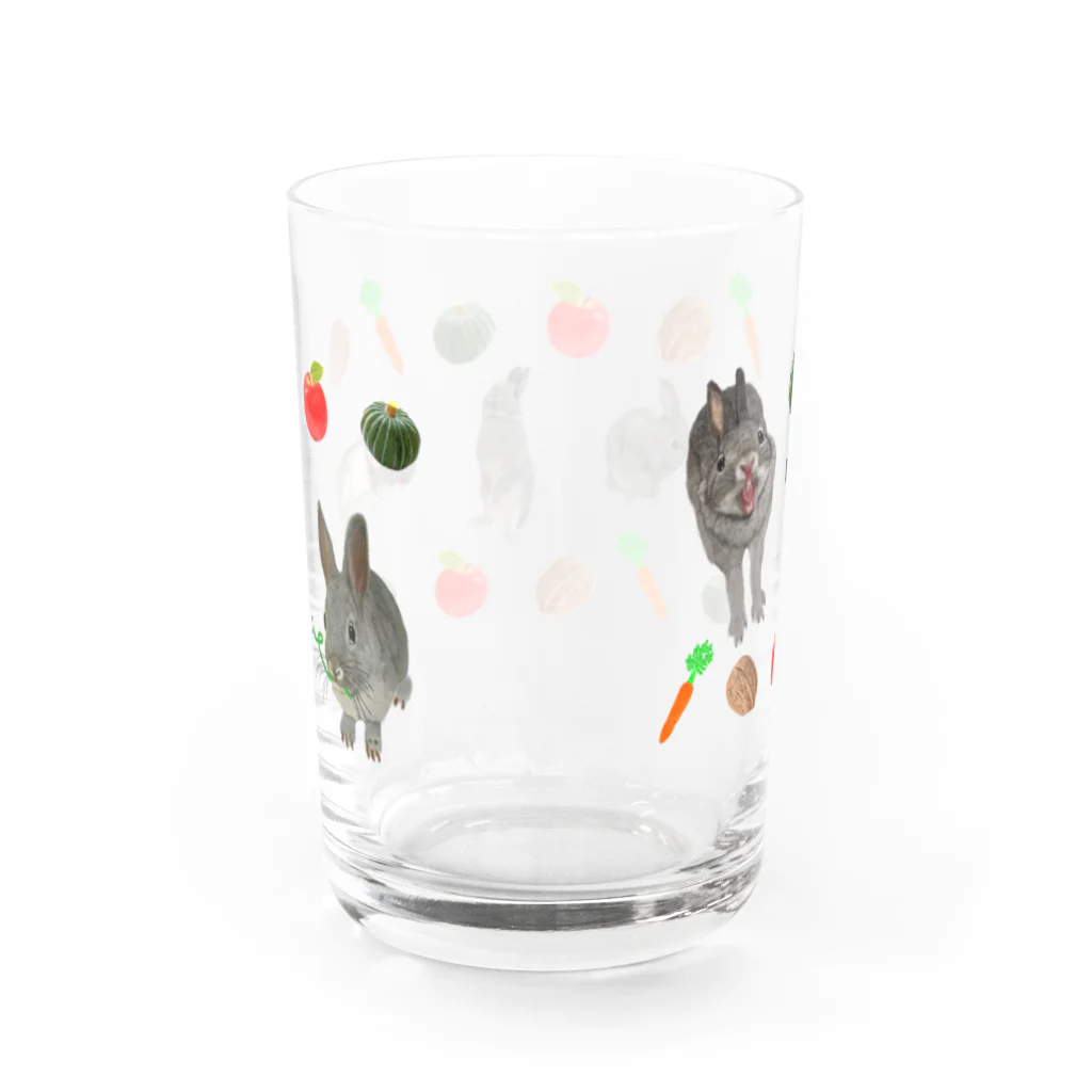 いきもの大好き！ほほえみフレンズのウサギぱらだいす！ Water Glass :back