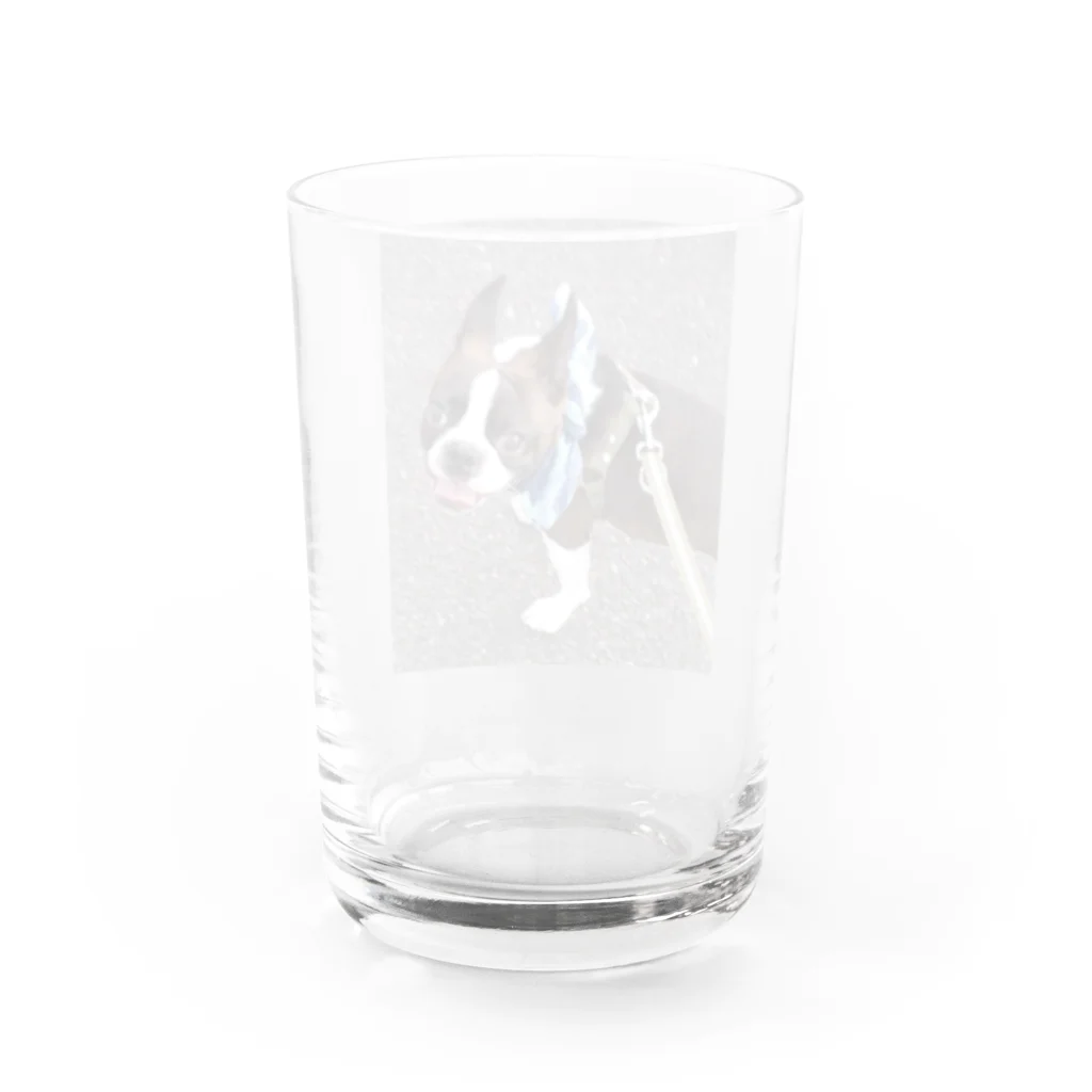 Laikathebostonterrierのおさんぽライカ1 Water Glass :back