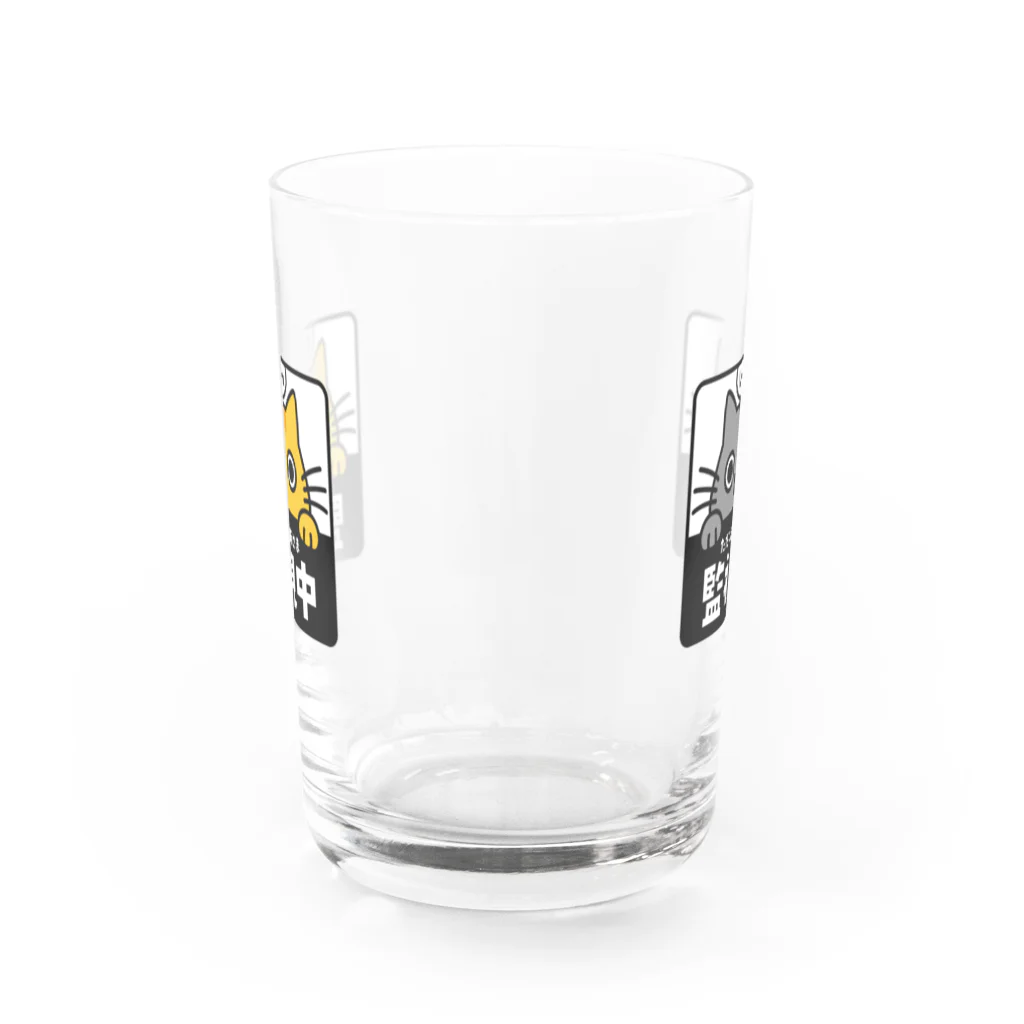 chi-bitのじーっとみる猫・猫さま監視中！（トラ猫&灰色猫） Water Glass :back